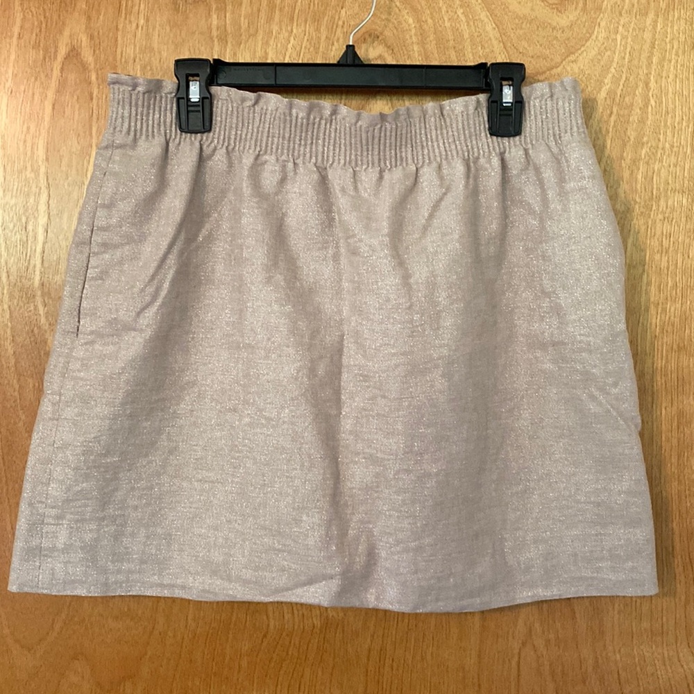 J Crew Skirt